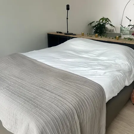 Nova Loft With Hottub And Garden Apartment
